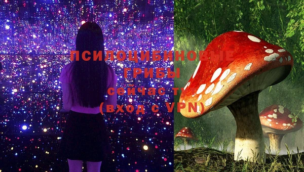 не бодяженный Лабытнанги