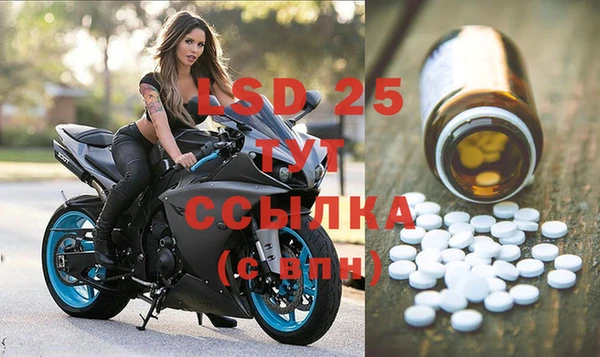 PSILOCYBIN Лагань
